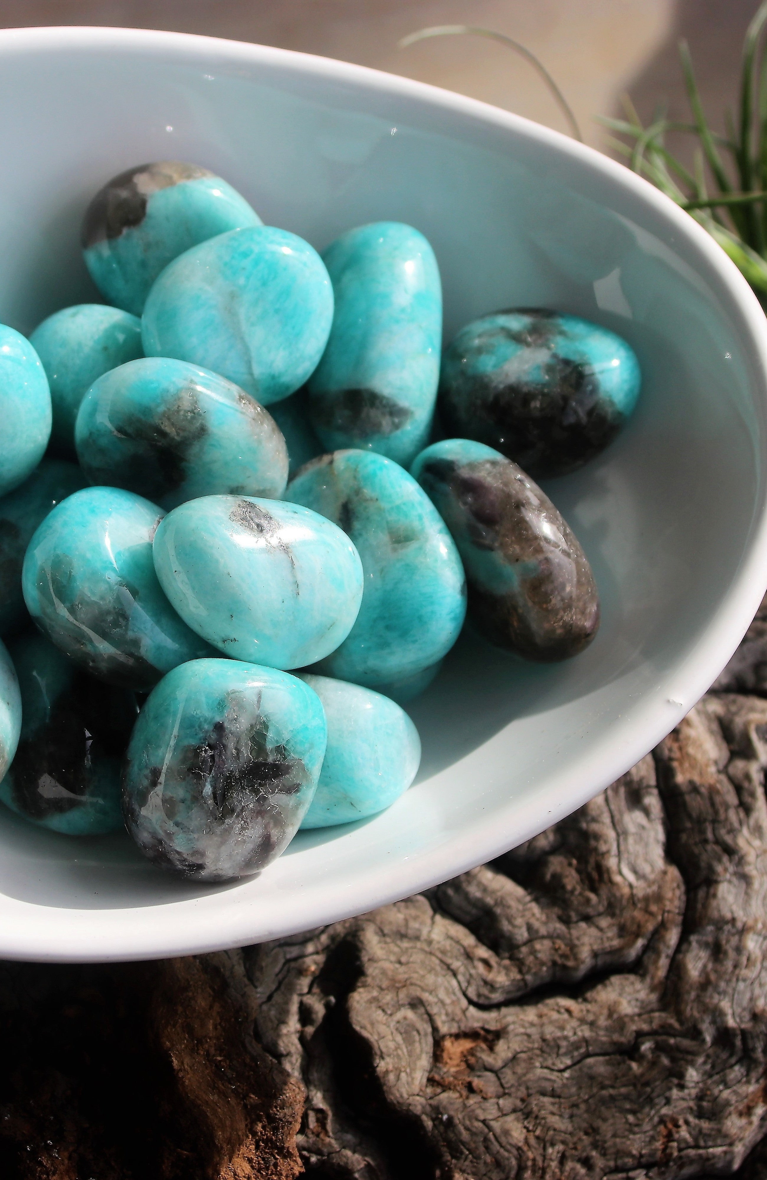 Amazonite Tumbled Stone